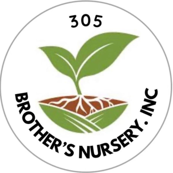305 Brother's Nursery logo